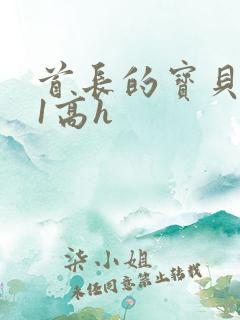 首长的宝贝1v1高h