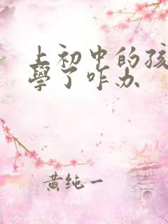 上初中的孩子厌学了咋办
