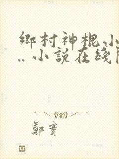 乡村神棍小村... 小说在线阅读