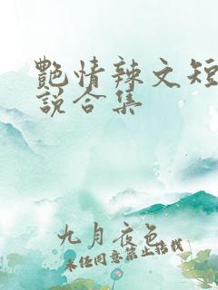 艳情辣文短篇小说合集