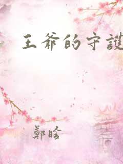 王爷的守护男妃