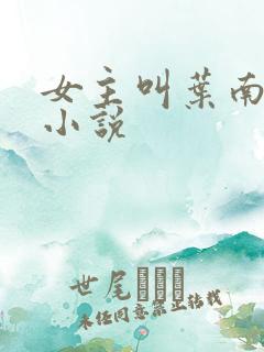 女主叫叶南初的小说
