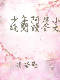 少年阿庆小说在线阅读全文