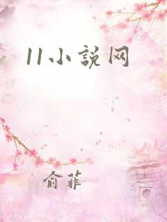 11小说网