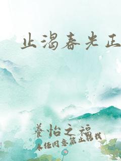 止渴春光正好