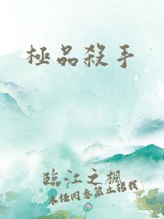 极品杀手