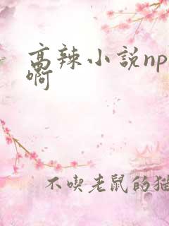 高辣小说np嗯啊
