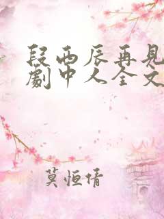 段西辰再见已无剧中人全文阅读小说