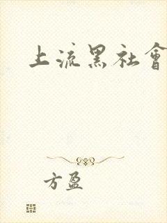 上流黑社会