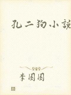 孔二狗小说