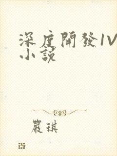 深度开发1V3小说