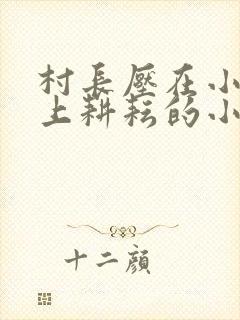 村长压在小娥身上耕耘的小说