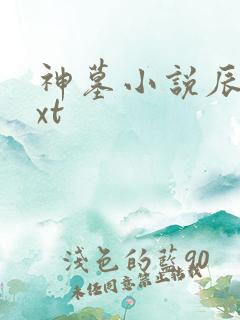神墓小说辰东txt