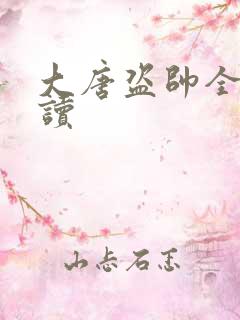 大唐盗帅全文阅读