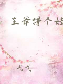 王爷借个娃