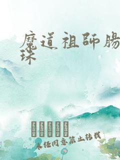 魔道祖师肠道串珠