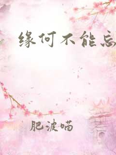 缘何不能忘记你