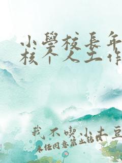 小学校长年度考核个人工作总结
