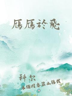 雁雁于飞