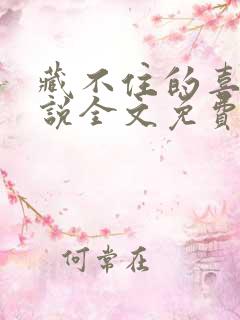 藏不住的喜欢小说全文免费阅读
