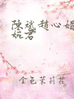 陈斌赵心媚和高婉君