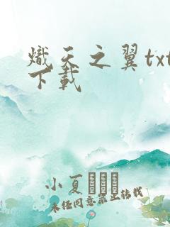 炽天之翼txt下载