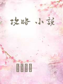 攻略 小说