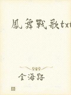 凤舞战歌txt