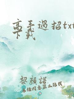 高手过招txt下载
