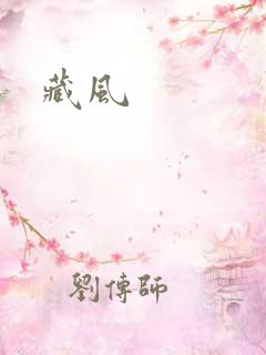 藏风