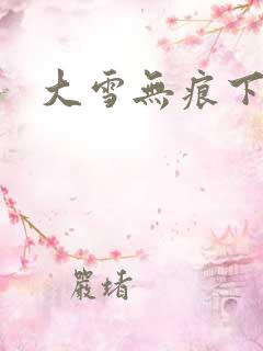 大雪无痕下载