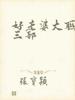 好老婆大联盟第三部