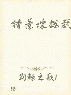 错惹坏总裁