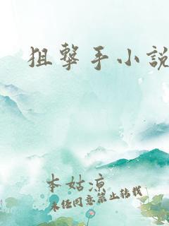 狙击手小说