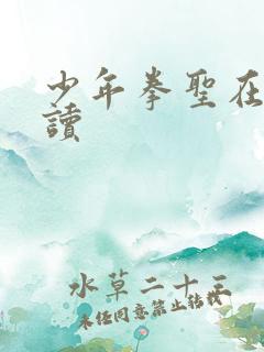 少年拳圣在线阅读