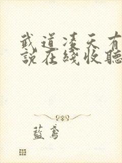 武道凌天有声小说在线收听
