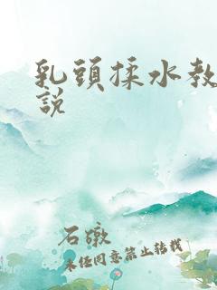 乳头揉水教室小说