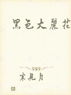 黑色大丽花图片