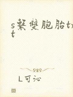 s系双胞胎txt