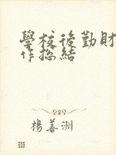 学校后勤财务工作总结