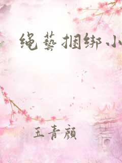 绳艺捆绑小说