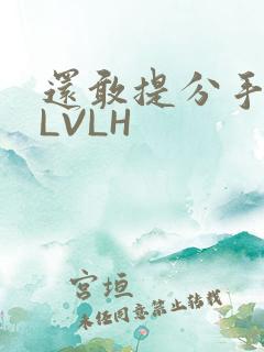 还敢提分手吗嗯LVLH