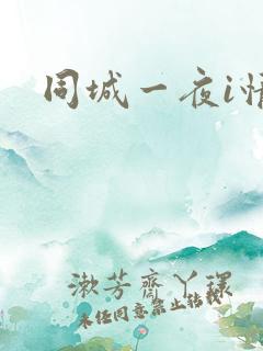同城一夜i情