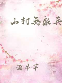 山村无敌兵王