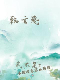 韩玄飞