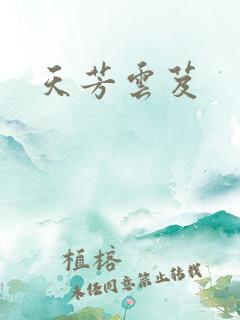 天芳云芨