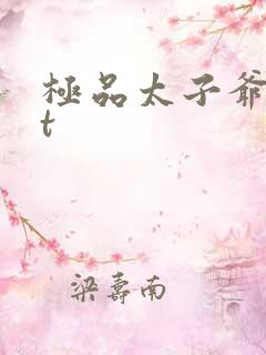 极品太子爷txt