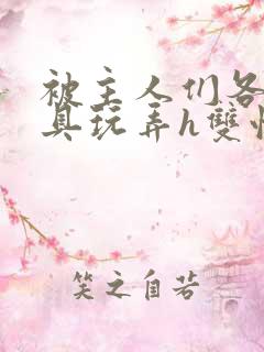 被主人们各种玩具玩弄h双性