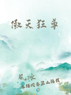傲天狂尊
