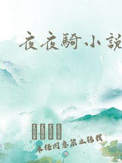 夜夜骑小说